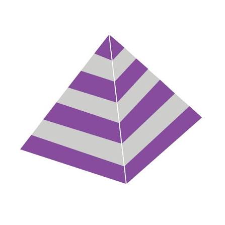 Strategic Management Firm